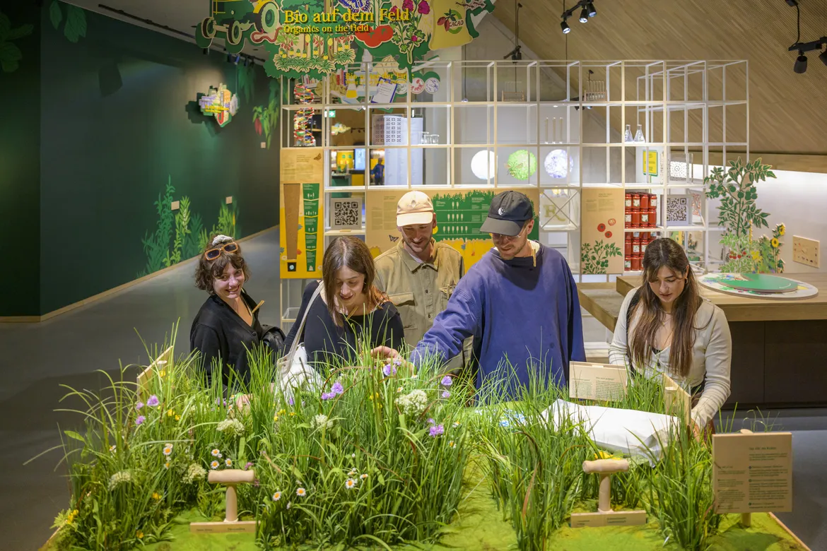 Besucherinnen und Besucher an einem bepflanzten Ausstellungstisch in der Ausstellung Bio auf dem Feld